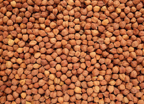 Desi chana