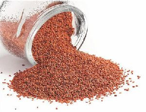 Organic Asaliya Seeds
