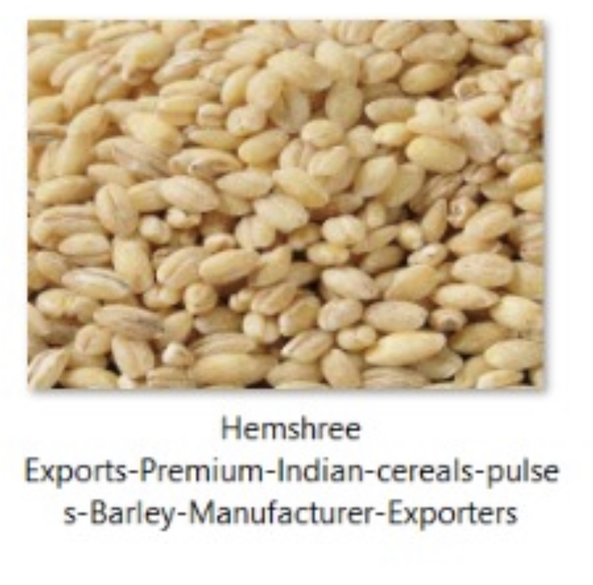 Barley