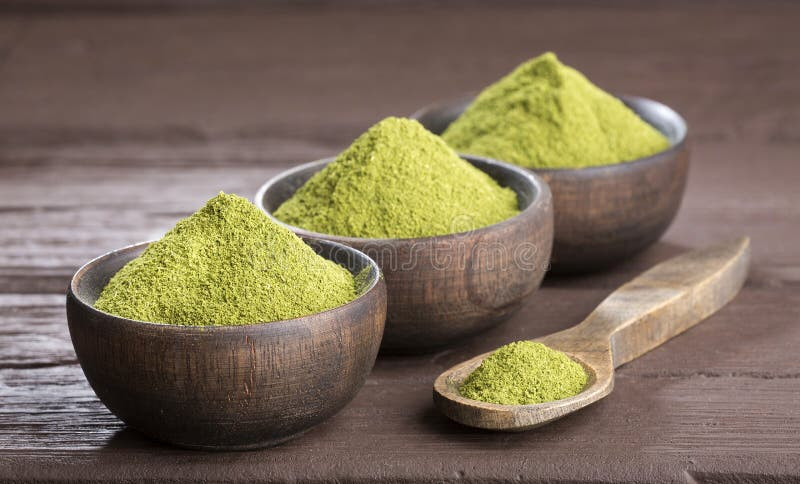 Stevia Rebaudiana